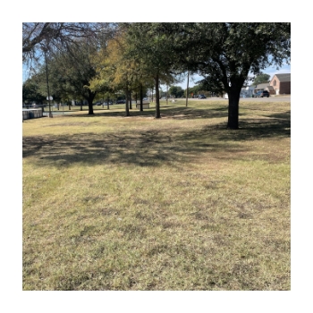 Beyond Pesticides Mack Park