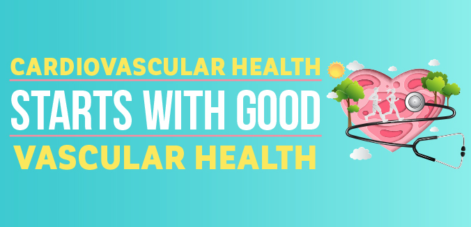 Cardiovascular Health Starts with Good Vascular Health