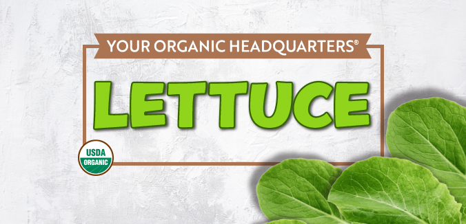 For The Love of Organics: Lettuce