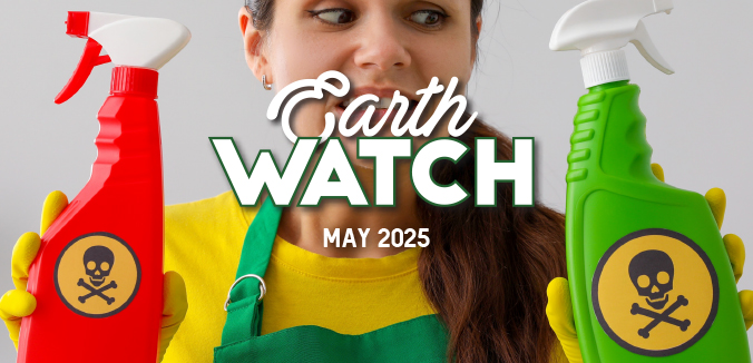 Earth Watch: The Hidden Dangers of Conventional Cleaning Products