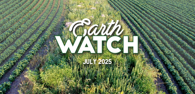 Earth Watch: Fighting Erosion & Building Biodiversity, One Prairie Strip at a Time