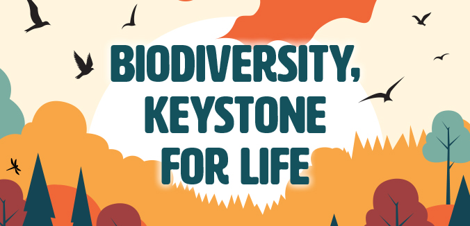 Biodiversity, Keystone for Life
