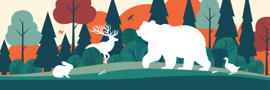 Illustration of diverse animals in wildlife - 3