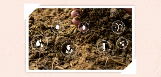 Earth Watch: Organic Farming Promotes Biodiversity, Reduces Foodborne Illness Risk