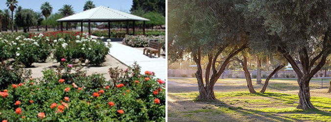 Reid Park and Silverlake Fields